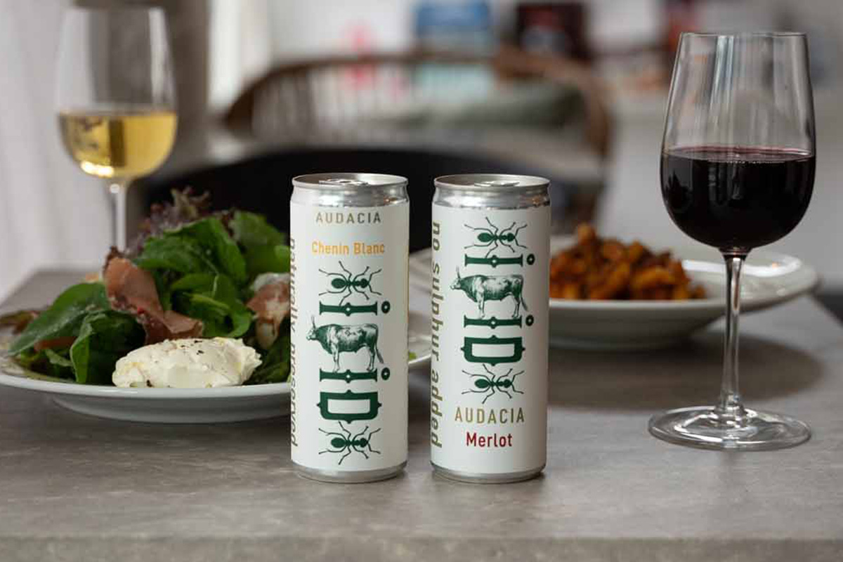 中川珠里 ルイボスワイン ティーライフ