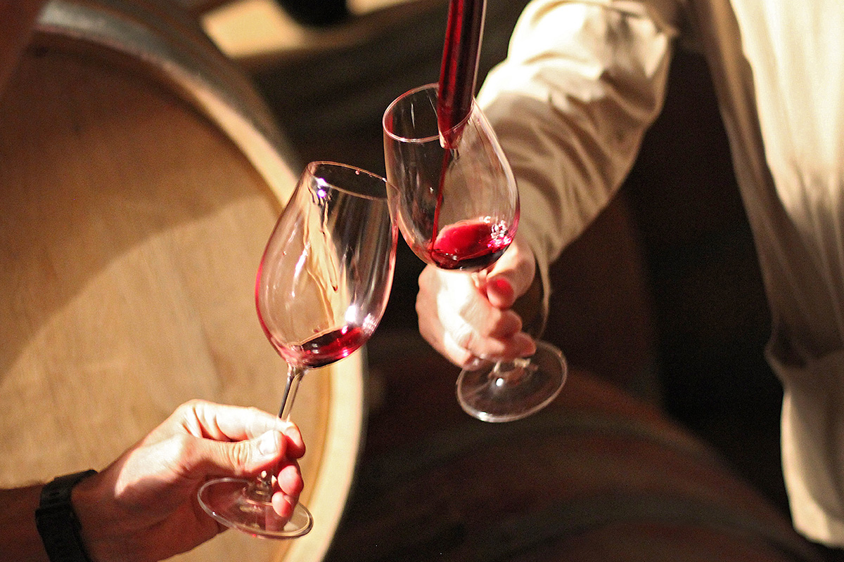 中川珠里 ルイボスワイン ティーライフ