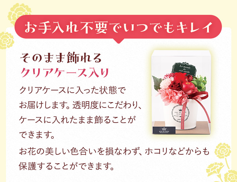 お手入れ不要でいつでもキレイ そのまま飾れるクリアケース入り