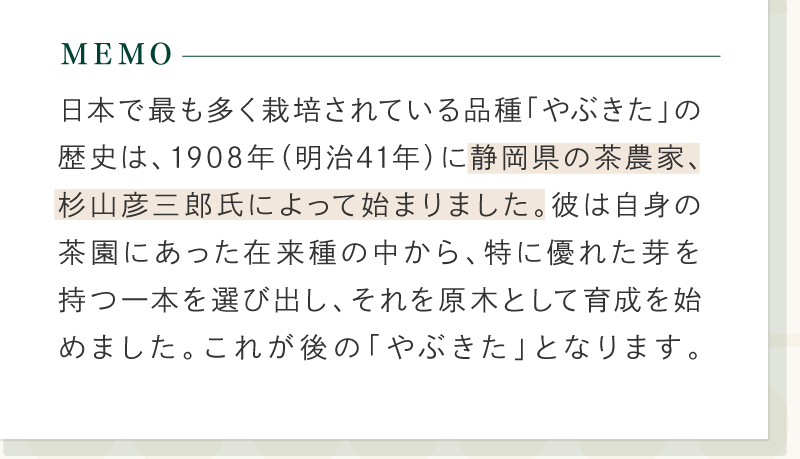 やぶ北深蒸し茎茶