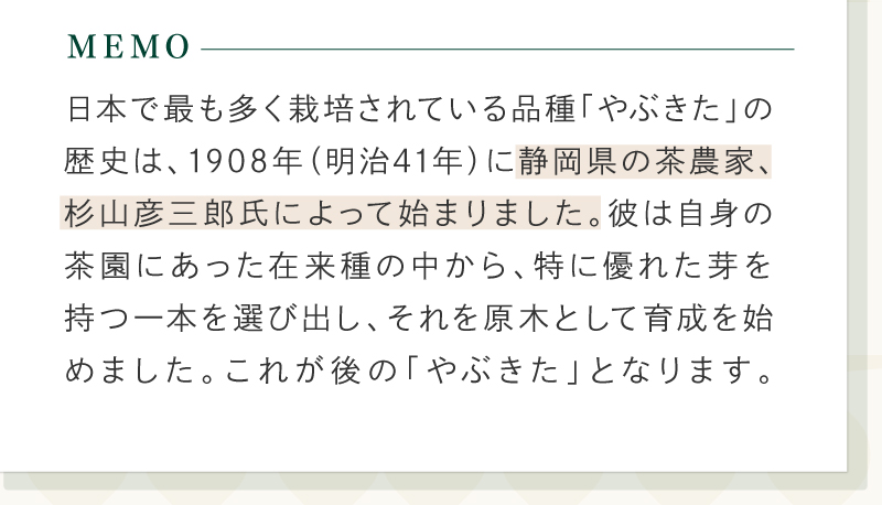 朝市の荒茶「香」