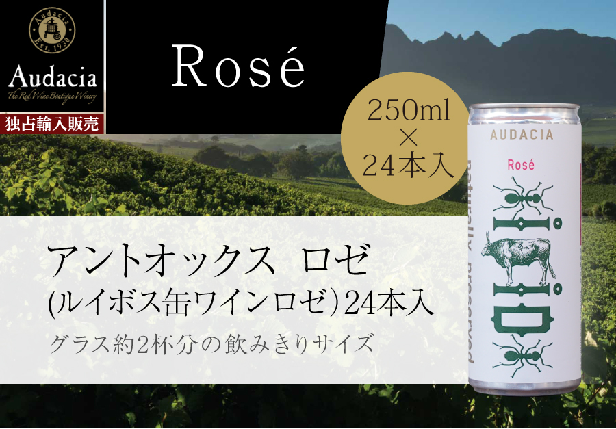 ルイボスワインCAN ロゼ 2本セット