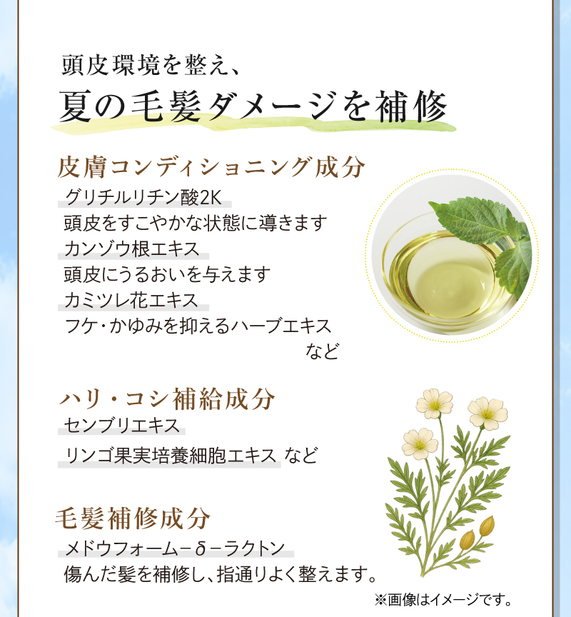 hugm リフレッシュシャンプー 頭皮環境を整え、夏の毛髪ダメージを補修