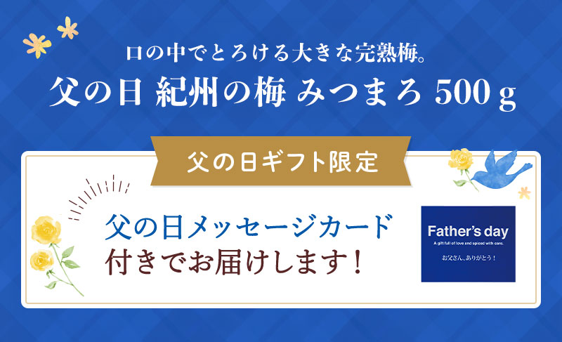 セット内容：紀州の梅 みつまろ500g（父の日メッセージカード付）