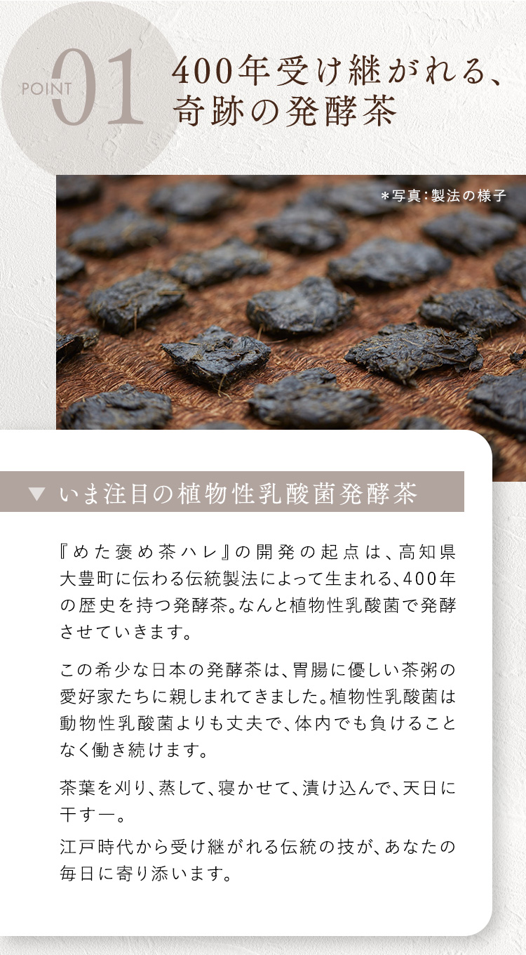 ①400年受け継がれる、奇跡の発酵茶