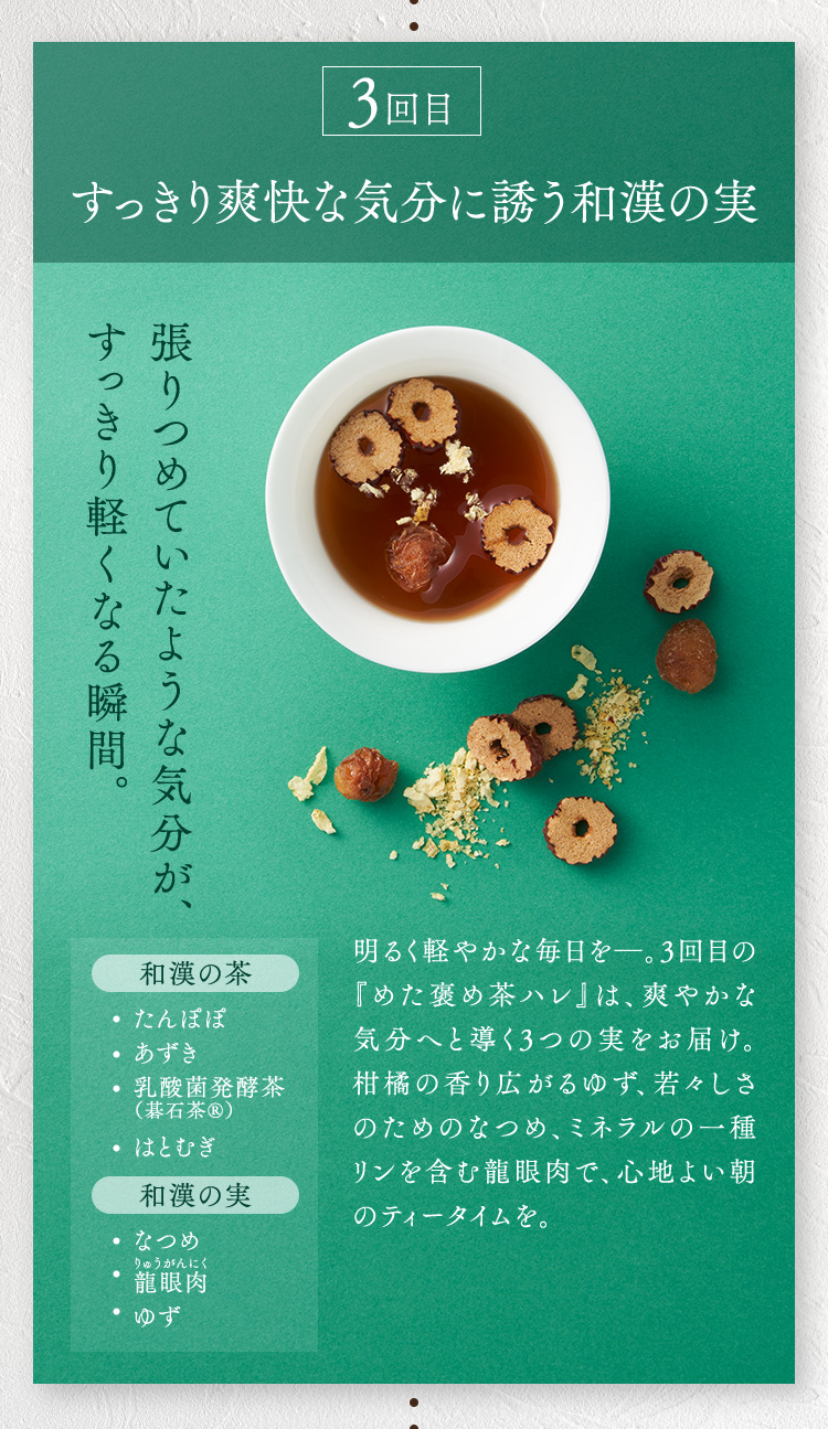 ３回目　すっきり爽やかな気分に誘う和漢の実