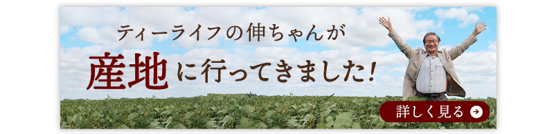 産地に行ってきました！