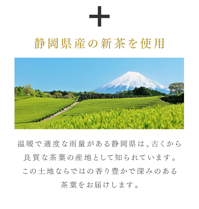 
静岡まるごとさんかく茶