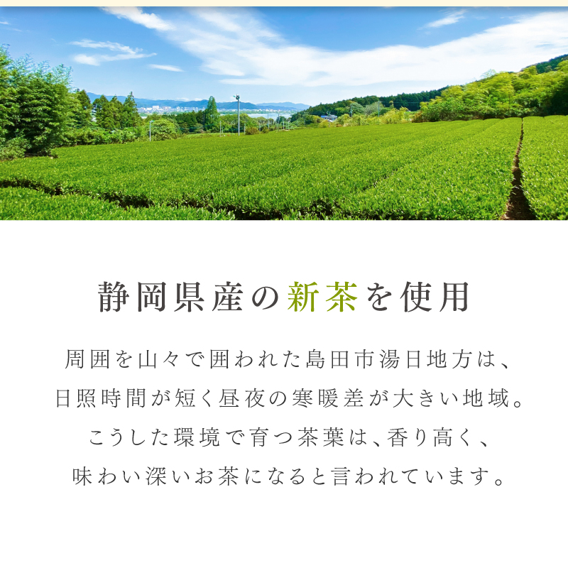 茶畑名人 生新茶