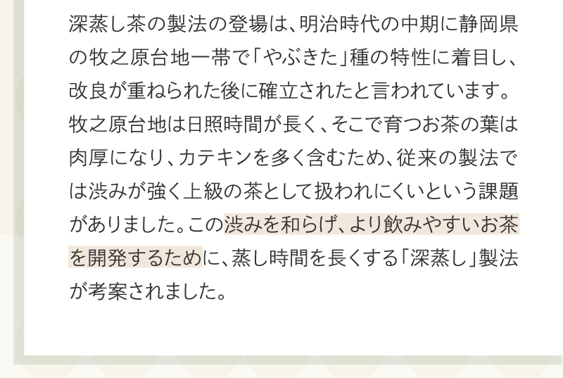 茶畑名人 生新茶