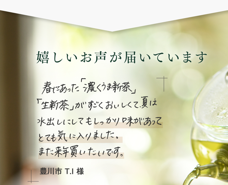 茶畑名人 生新茶