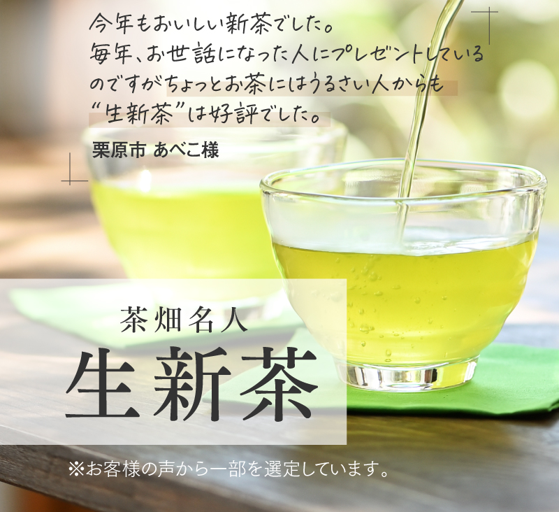 茶畑名人 生新茶