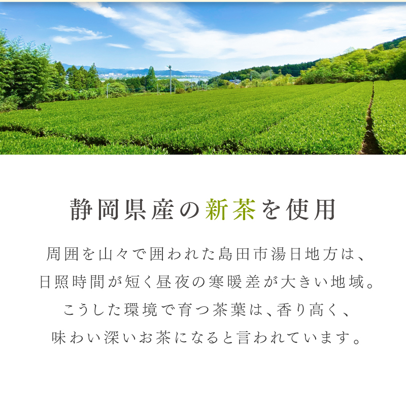 濃くうま新茶