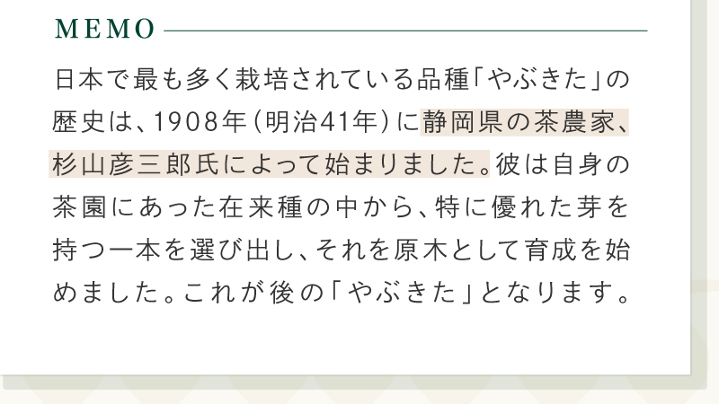 濃くうま新茶