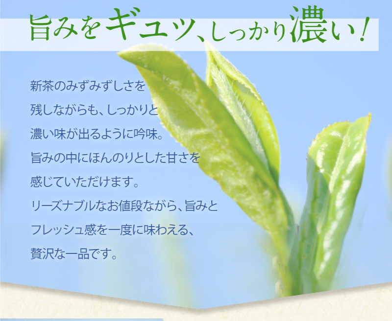 旨みをギュッ、しっかり濃い!　新茶のみずみずしさを残しながらも、しっかりと濃い味が出るように吟味。旨みの中にほんのりとした甘さを感じていただけます。リーズナブルなお値段ながら、旨みとフレッシュ感を一度に味わえる、贅沢な逸品です。