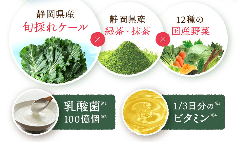 静岡県産旬採れケール×静岡県産緑茶・抹茶×12種の国産野菜 乳酸菌100億個・1/3日分のビタミン配合