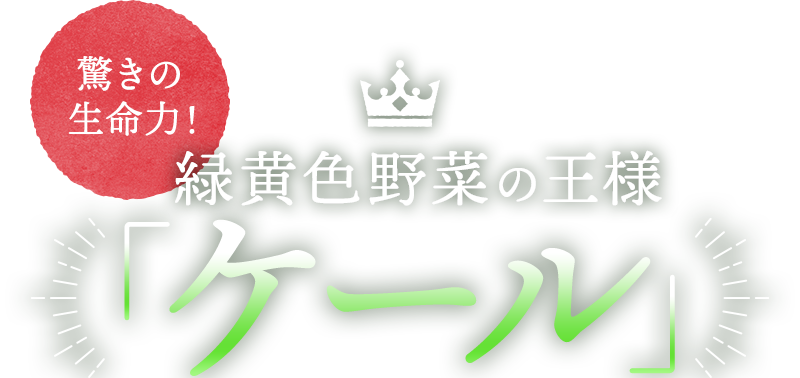 そこで！毎日の食事にサッと１杯！おいしい旬採れケール青汁