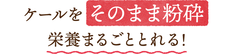 ケールをそのまま粉砕。栄養まるごととれる！