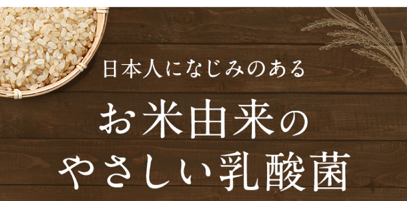 日本人になじみのあるお米由来のやさしい乳酸菌