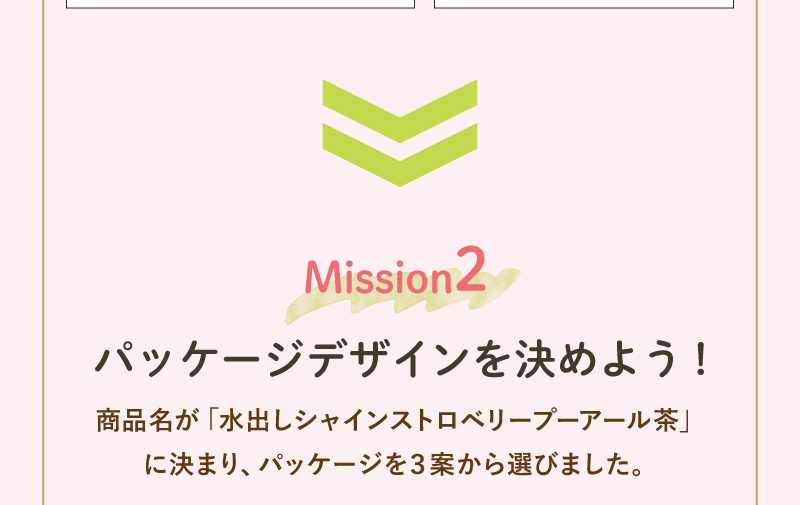 Mission2. パッケージデザインを決めよう！