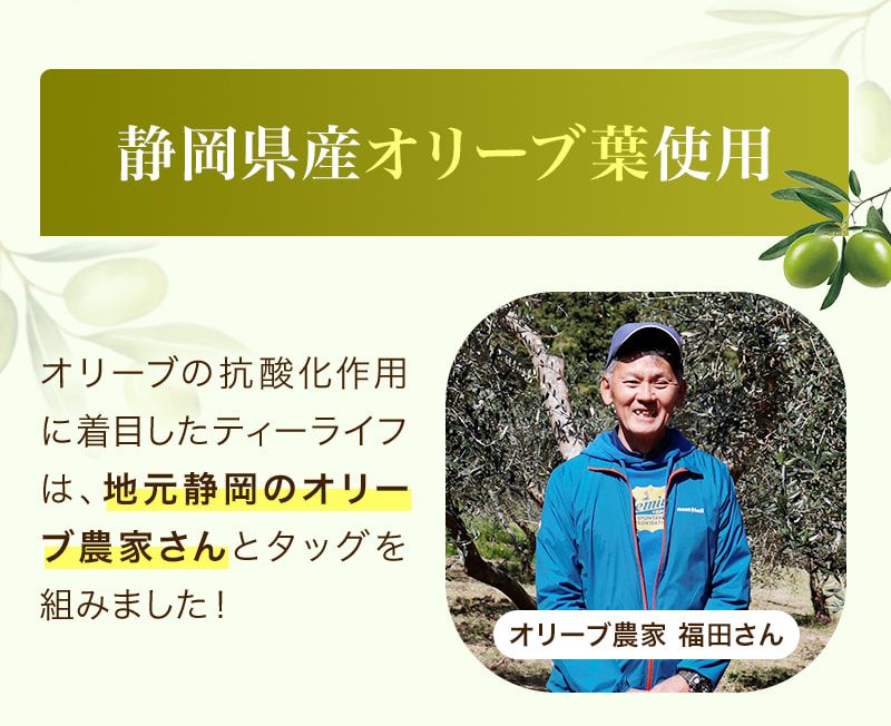 静岡県産オリーブ葉使用 オリーブの抗酸化作用に着目したティーライフは、地元静岡のオリーブ農家さんとタッグを組みました! オリーブ農家 福田さん