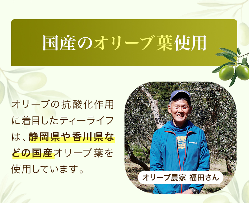 国産オリーブ葉使用 オリーブの抗酸化作用に着目したティーライフは、静岡県や香川県などの国産オリーブ葉を使用しています! オリーブ農家 福田さん