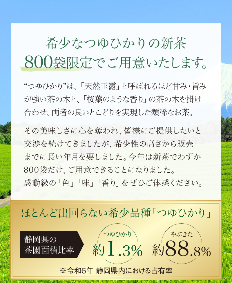 人気希少茶を800袋限定でご用意できました