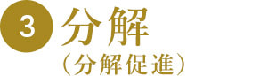 3 分解（分解促進）