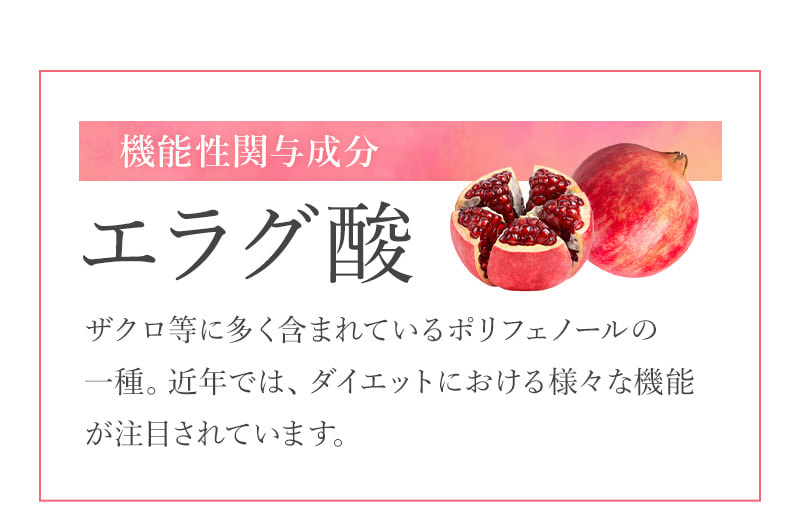 機能性関与成分 エラグ酸