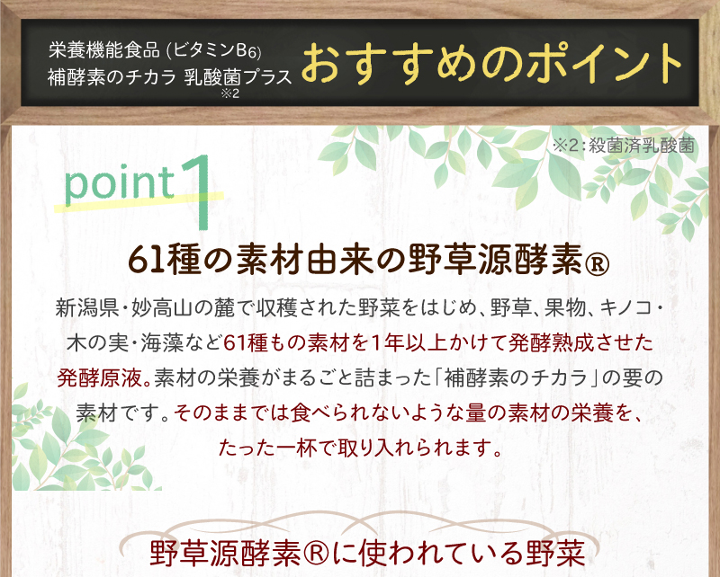 おすすめのポイント1　61種の素材由来の野草源酵素