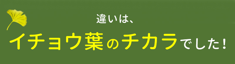 違いは、脳内の血流を改善するイチョウ葉のチカラ