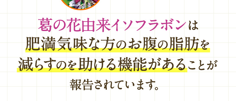 葛の花由来イソフラボンは肥満気味な方のお腹の脂肪を減らすのを助ける機能があることが報告されています。