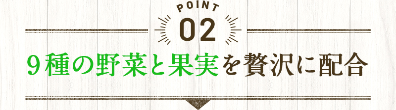 POINT2 9種の野菜と果実を贅沢に配合