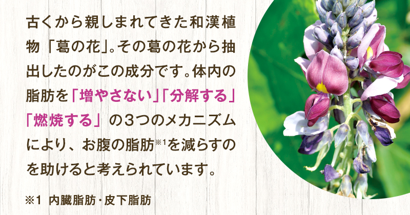 古くから親しまれてきた和漢植物「葛の花」。その葛の花から抽出したのがこの成分です。体内の脂肪を「増やさない」「分解する」「消費する」の３つの働きにより、お腹の脂肪を減らすのを助けると考えられています。