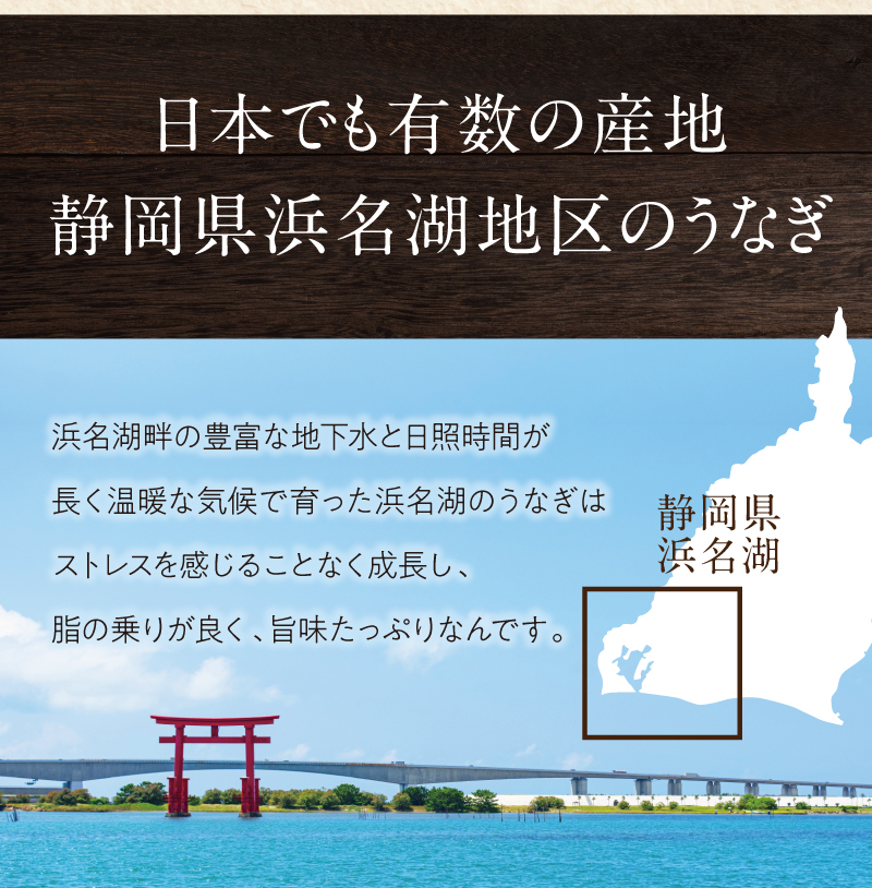 日本でも有数の産地 静岡県浜名湖地区の鰻
