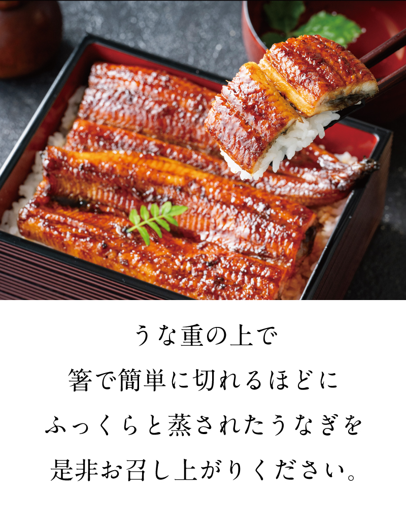 ぜひお召し上がりください