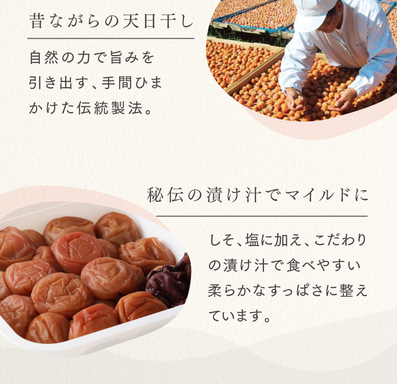 【ポイント2】昔ながらの天日干し【ポイント3】秘伝の漬け汁でマイルドに