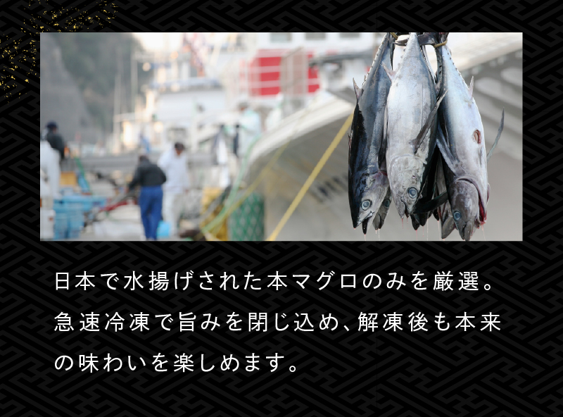 日本で水揚げされた本マグロのみを厳選