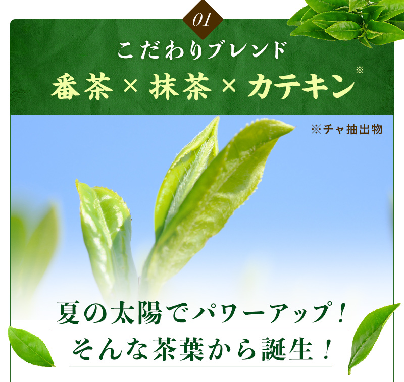 1：こだわりブレンド 番茶×抹茶×カテキン（※チャ抽出物）