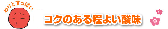 塩分控えめ程よい酸味