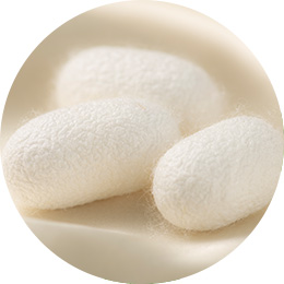 加水分解シルク