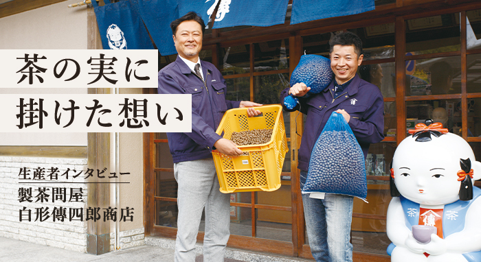 生産者インタビュー 茶の実油