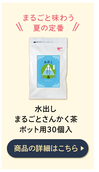 水出しまるごとさんかく茶ポット用30個入