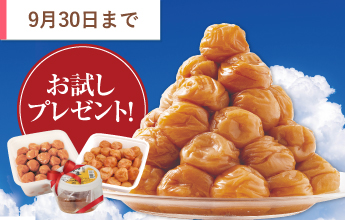 紀州の梅みつまろ2kg【お試しプレゼント】