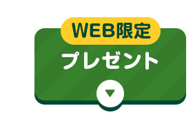 WEB限定プレゼント