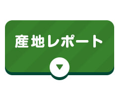 産地レポート