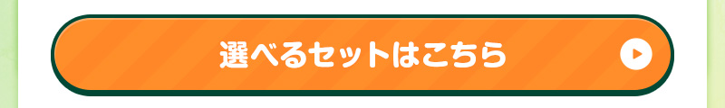 選べるセットはこちら