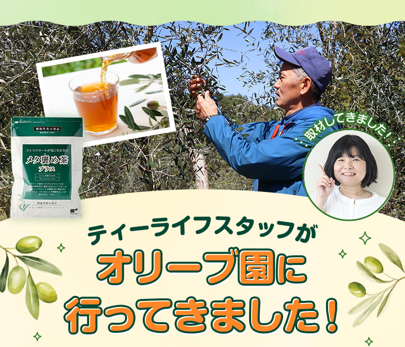 ティーライフスタッフがオリーブ園に行ってきました！