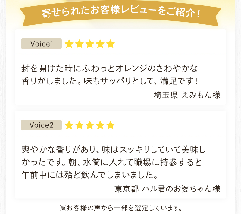昨年寄せられたお客様レビューをご紹介!