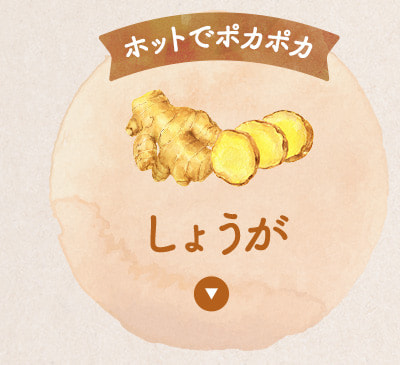ホットでポカポカしょうがフレーバー